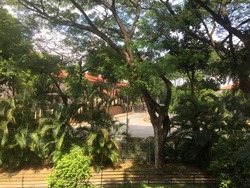 Regency Park (D10), Condominium #205954571